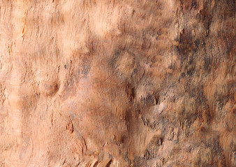 Wall Mural - Tree trunk beige color without bark background or texture