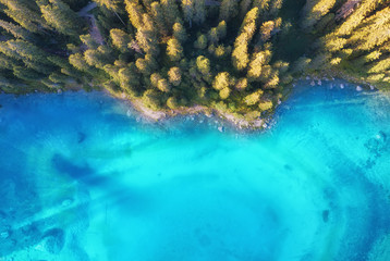 Aerial view on the lake and forest. Natural landscape from drone. Aerial landscape from air in the Dolomite alps, Italy.