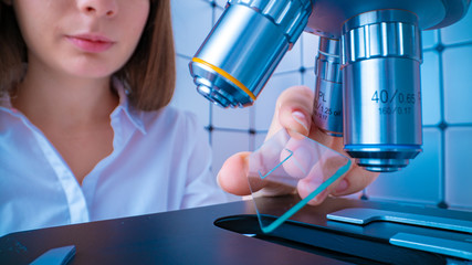 Wall Mural - Young woman technician is examining a histological sample, a biopsy in the laboratory of cancer research