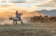 the cowboy who runs a herd of wild horses