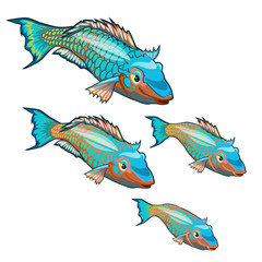 Wall Mural - The growth stage of fancy fish with colorful scales isolated on a white background. Cartoon vector close-up illustration.
