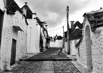 Canvas Print - Unique Trulli houses of Alberobello, Puglia region, Italy. Black and white image.