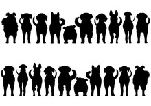 Dogs Breed Silhouette Border Set
