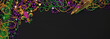Purple, Gold, and Green Mardi Gras beads and decorations background