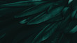 Exotic texture feathers background, closeup bird wing. Dark green feathers for design and pattern.