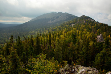 Elevated view of forest with mountain in background 