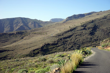 Wall Mural - Mountain and road