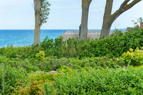 Haus Am Meer In Ahrenshoop An Der Ostsee Kaufen Sie Dieses Foto