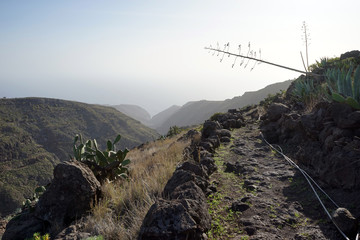 Poster - Trail on the coast