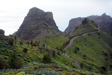 Wall Mural - Mountain road