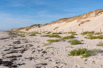 Wall Mural - French landscape - Bretagne. Beautiful sandy beach and view over the dunes.