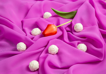 Wall Mural - red tulip on a background of pink soft thin fabric lined with waves with white candy