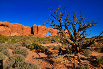 USA Nationalpark