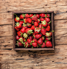 Poster - Ripe red strawberries