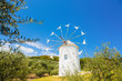 小豆島のオリーブ園の風車