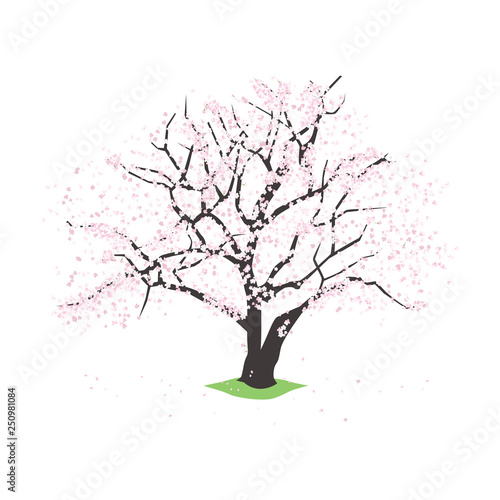 日本の花のイラスト 一本の桜の木 Stock Vector Adobe Stock 日本の花のイラスト 一本の桜の木 Stock Vector Adobe Stock
