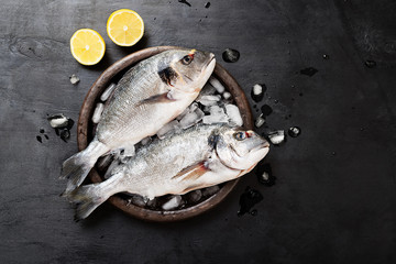 Wall Mural - Fresh uncooked dorado or sea bream fish with lemon .