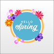 Hello Spring, Spring Time, Its Spring Time Vector Design
