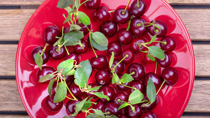 Poster - Red plate of ripe cherries with green leaves