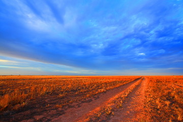 Wall Mural - Lonely track across Australian outback