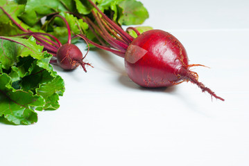 Canvas Print - Beetroot