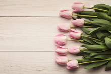 Pink Tulips On White Wooden Background, Top View