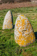 Menhir stones from the bronze age at Archeological site of Tamuli, Sardinia island, Italy
