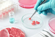 © tilialucida - Meat sample in open  disposable plastic cell culture dish in modern laboratory or production facility