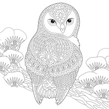 Feather Coloring Page For Kids Free Stock Photo Public Domain Pictures feather-coloring-page-for-kids-free-stock-photo-public-domain-pictures