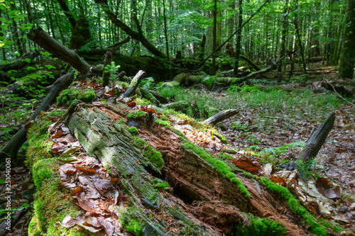 Wann Ist Ein Immobilienverkauf Steuerfrei Schallerimmobilien