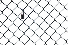 Mesh Wire Fence With Lock On The White Background. Isolated.
