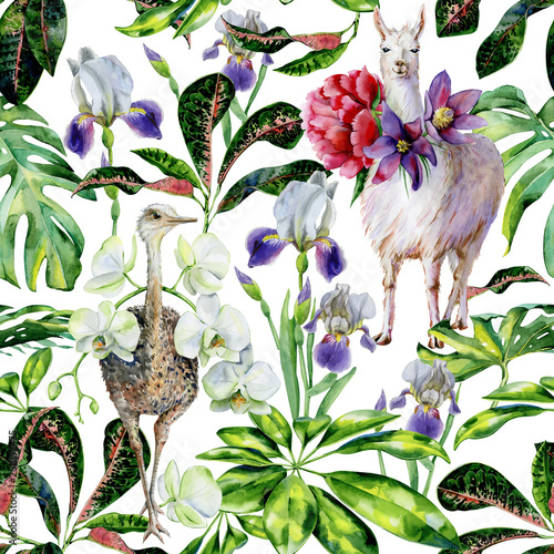 Watercolor seamless tropical pattern of  alpaca, ostrich and cartoon llama wi...