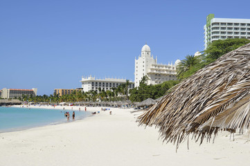 Wall Mural - Beach in Aruba