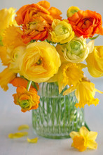Spring Bouquet Of Yellow Flowers On A Light Background.