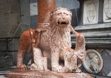 One Of Two Pink Lions In One Of The Two Pink Lions At The Gate Of The Pink Lions . Basilica Di Santa Maria Maggiore . Bergamo . Italy