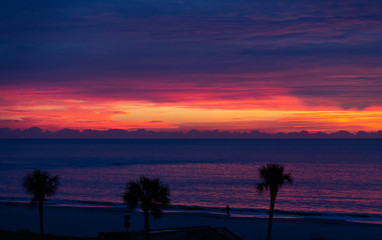 Canvas Print - A brilliant sunrise off the coast of Georgia with Palm Trees in Silhouette