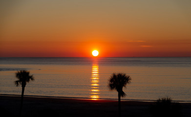 Canvas Print - A brilliant sunrise off the coast of Georgia with Palm Trees in Silhouette