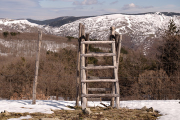 Wall Mural - Wooden Step Ladders In Winter Nebrodi Park, Sicily