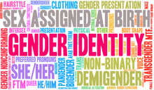 Gender Identity Word Cloud On A White Background. 
