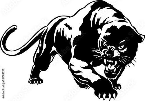 Foto  Panther Vector Illustration