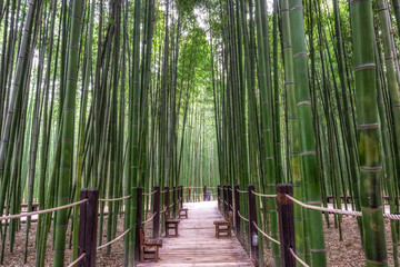  Simnidaebat bamboo forest bench