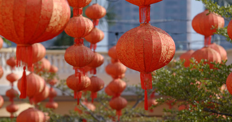 Poster - Lunar new year red lantern