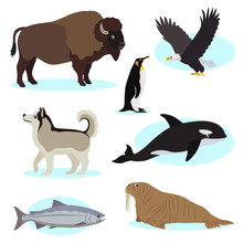 Set Of Cute Wild Animals Icon For Design And Decoration