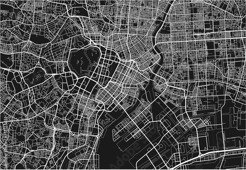 Cuadros en Lienzo Black and white vector city map of Tokyo with well organized separated layers