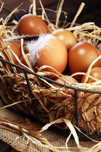Egg. Fresh Farm Eggs In Basket. Easter Egg With Feather Concept