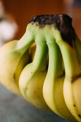 Wall Mural - Bunch of bananas. Close up view of fresh and organic bananas ready to eat.