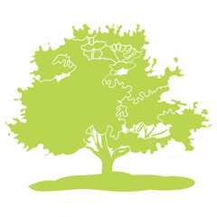 vector drawing, tree illustration, landscape, nature
