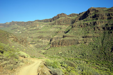 Wall Mural - Track in mountain