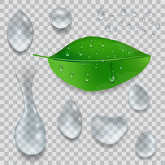 Poster - Set of water Drops and green leaf with dew drops isolated on transparent background. Vector