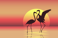 Beautiful Colorful Sunset Scene With Flamingo Couple Silhouettes. Vector Illustration